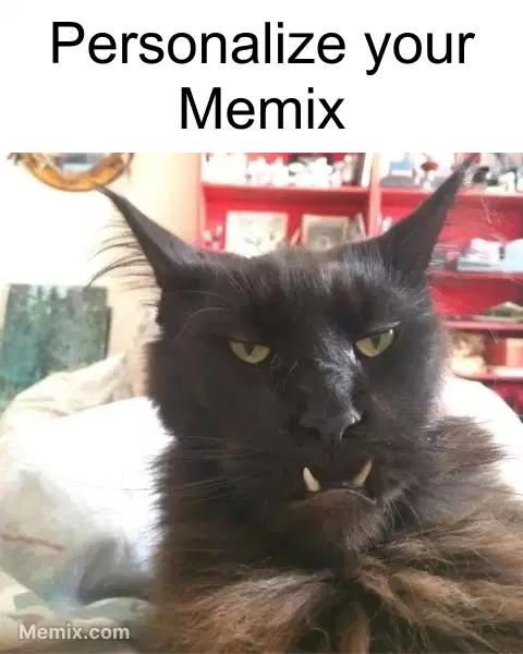 Black Cat Fangs Meme, GIF - Share with Memix