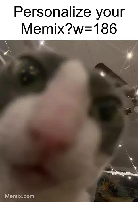 Blurry Cat Selfie Meme GIF Share With Memix Blurry Cat Selfie Meme GIF Share With Memix