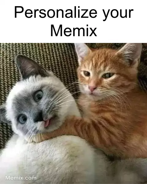 Cat Choking Hug Meme, GIF - Share with Memix