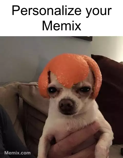 Dog Orange Peel Meme, GIF - Share with Memix