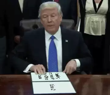 Making moves in the White House meme