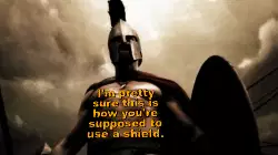 I'm pretty sure this is how you're supposed to use a shield. meme