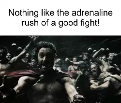 Nothing like the adrenaline rush of a good fight! meme