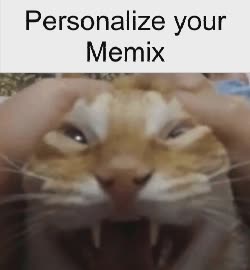 aa-ahh-cat