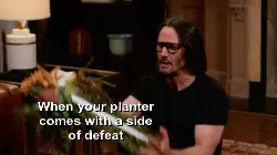 When your planter comes with a side of defeat meme