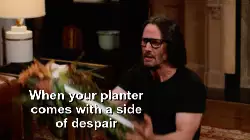 When your planter comes with a side of despair meme