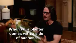 When your planter comes with a side of sadness meme
