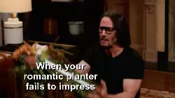 When your romantic planter fails to impress meme