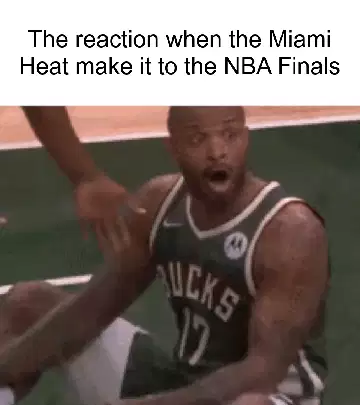 The reaction when the Miami Heat make it to the NBA Finals meme