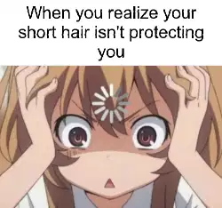 When you realize your short hair isn't protecting you meme