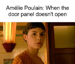 Amélie Poulain: When the door panel doesn't open meme