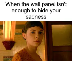 When the wall panel isn't enough to hide your sadness meme