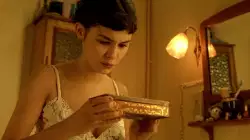 In the darkness of the night, Amélie Poulain discovers her destiny meme