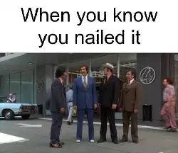 When you know you nailed it meme