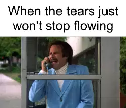 When the tears just won't stop flowing meme