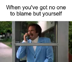 When you've got no one to blame but yourself meme