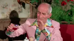 Louis de Funes in the colorful collared shirt: The Wing or the Thigh? meme