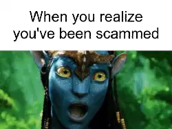 When you realize you've been scammed meme