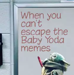 When you can't escape the Baby Yoda memes meme