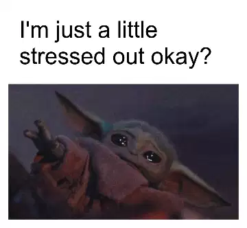I'm just a little stressed out okay? meme