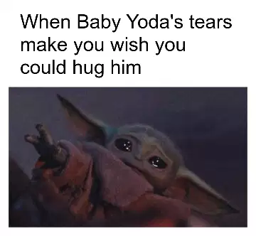 When Baby Yoda's tears make you wish you could hug him meme