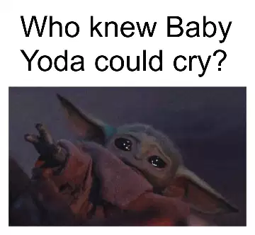 Who knew Baby Yoda could cry? meme