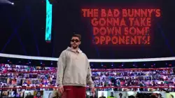 The Bad Bunny's gonna take down some opponents! meme