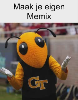 bee-mascot-why