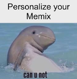 Belgua Whale Can You Not Meme 