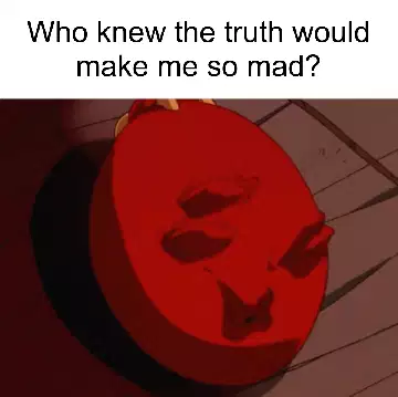 Who knew the truth would make me so mad? meme