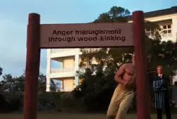 Anger management through wood-kicking meme