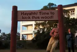 Hayahh! Time to kick this wood! meme