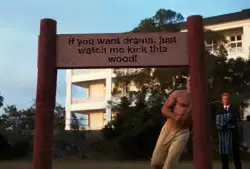 If you want drama, just watch me kick this wood! meme