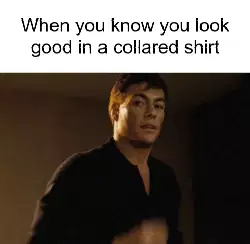 When you know you look good in a collared shirt meme