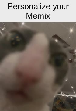 blurry-cat-selfie