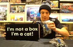 I'm not a box I'm a cat! meme