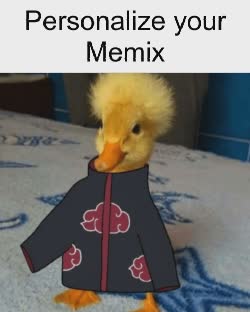 brazil-akatsuki-duck
