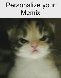Baby Cat Frowns 