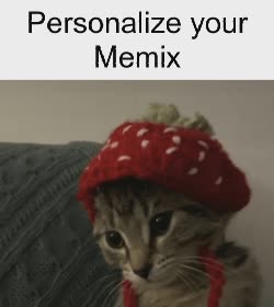 A Cat Wears A Strawberry Hat 