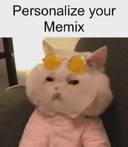 brazil-cat-masked