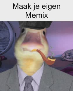 brazil-detective-duck