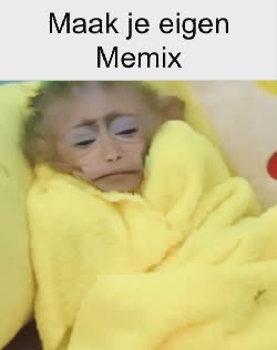 A Monkey Sleeps In Yellow Blanket 