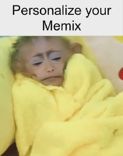 A Monkey Sleeps In Yellow Blanket 