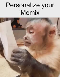 A Monkey Reads Paper 