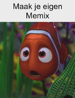 Nemo Is Super Shocked 