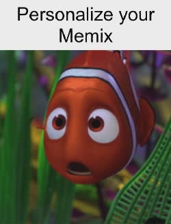 Nemo Is Super Shocked 