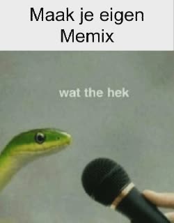 brazil-snake-mic