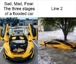 Sad, Mad, Fear: The three stages of a flooded car meme
