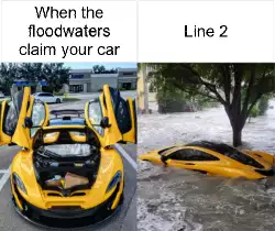 When the floodwaters claim your car meme