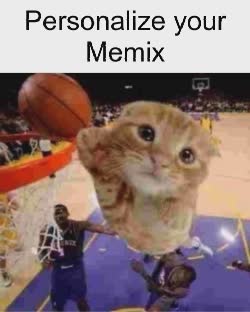 A Small Brown Cat Dunks Basketball 